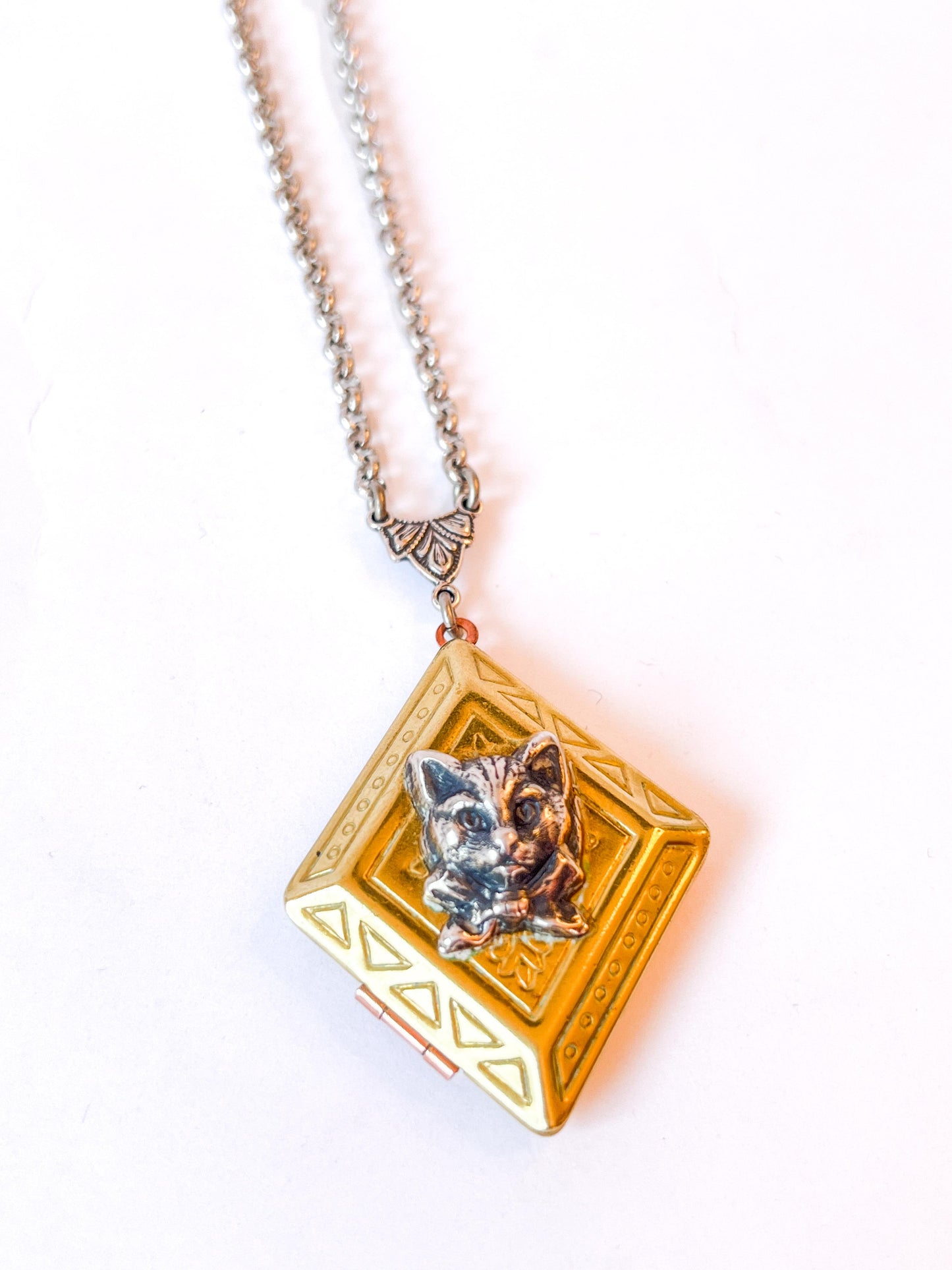 Relicario Felino Vintage 🐾