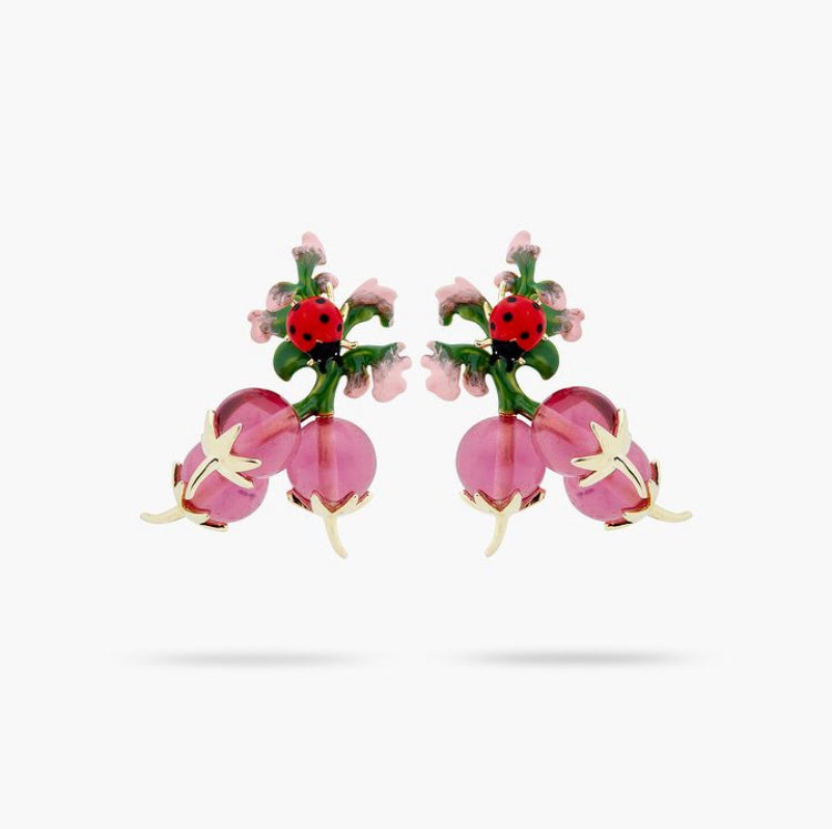 Aros Flores Rabanos y Chinita