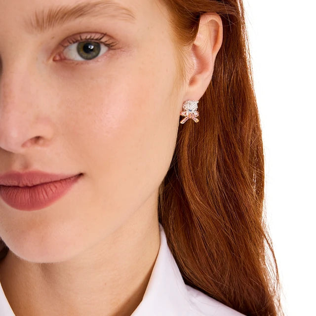 aros para amntes de los gatos